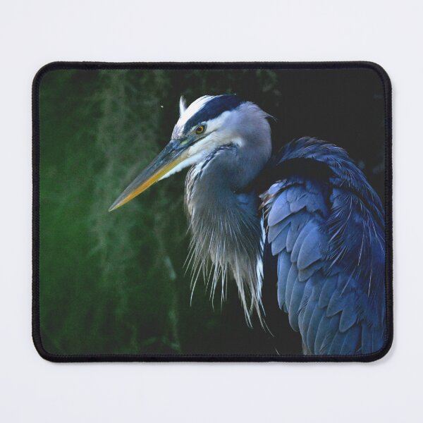 Item preview, Great Blue designed and sold by Glennphotos.