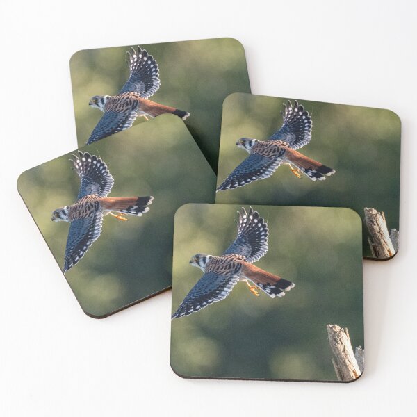 Item preview, Lift-off  designed and sold by Glennphotos.