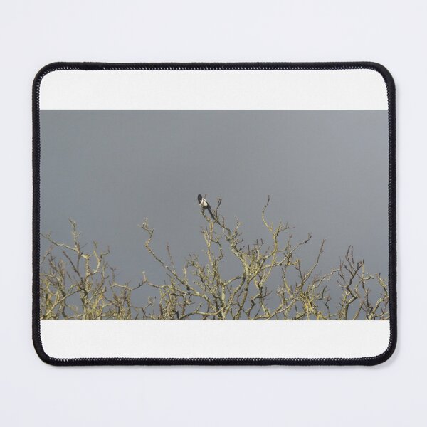 Item preview, The magpie designed and sold by ART22.