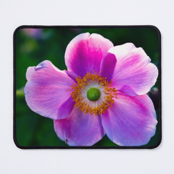 Item preview, The Pink flower designed and sold by AdrianJune.