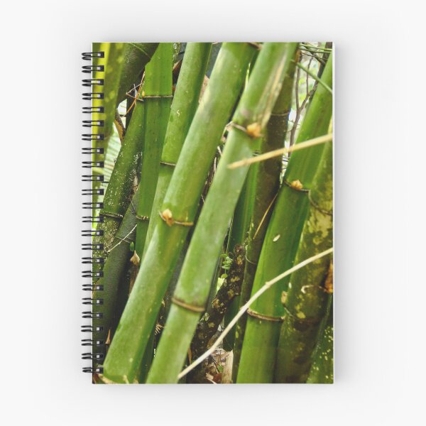 Item preview, Zen Cadence: The Anatomy of Bamboo designed and sold by blairvina9028.