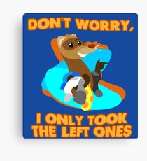 Socks Canvas Print