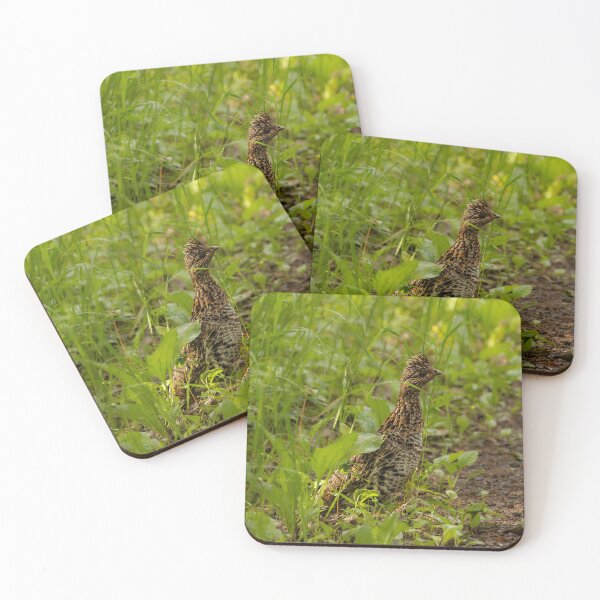 Item preview, Grouse In The Grass designed and sold by Imrick Photography.