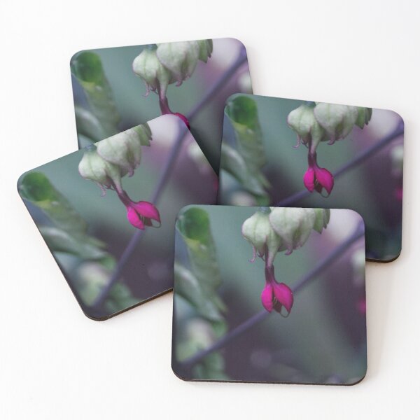Item preview, Bleeding-heart Vine_02 designed and sold by ROSE ANN BANILAR.