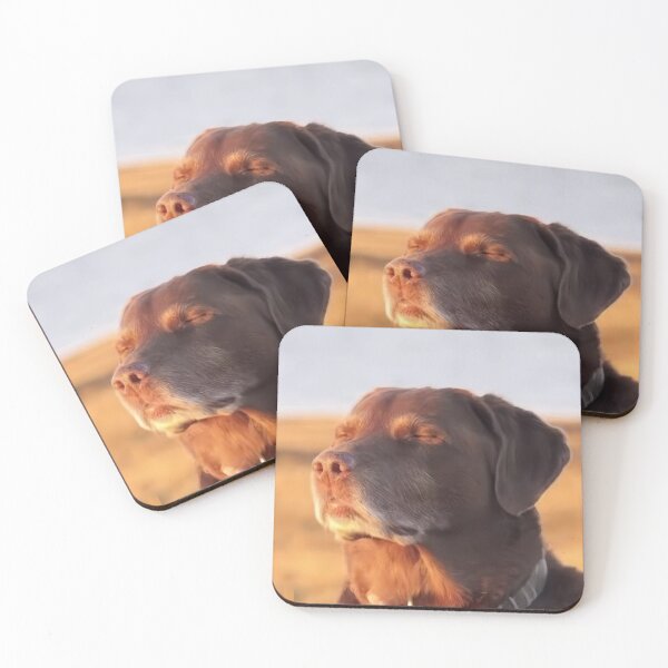 Item preview, Dog Accepting Fate designed and sold by taylorgray05.