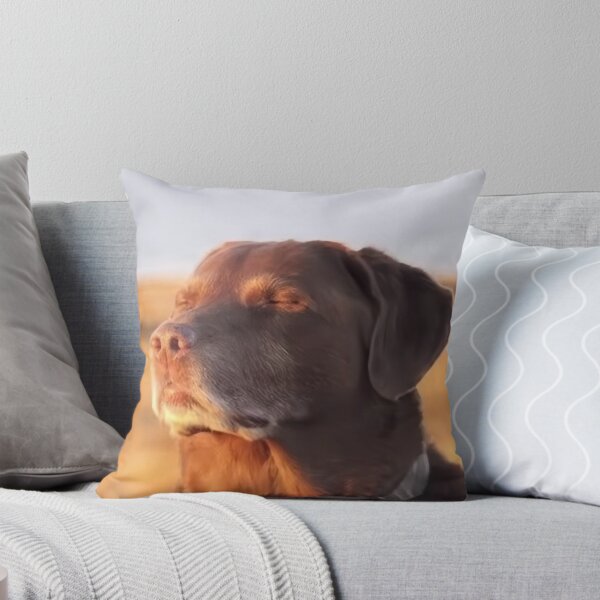 Item preview, Dog Accepting Fate designed and sold by taylorgray05.
