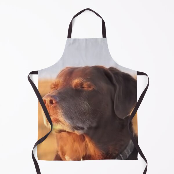 Item preview, Dog Accepting Fate designed and sold by taylorgray05.