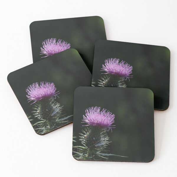 Item preview, Thistle in the Sun designed and sold by Jay-Gall-oper.