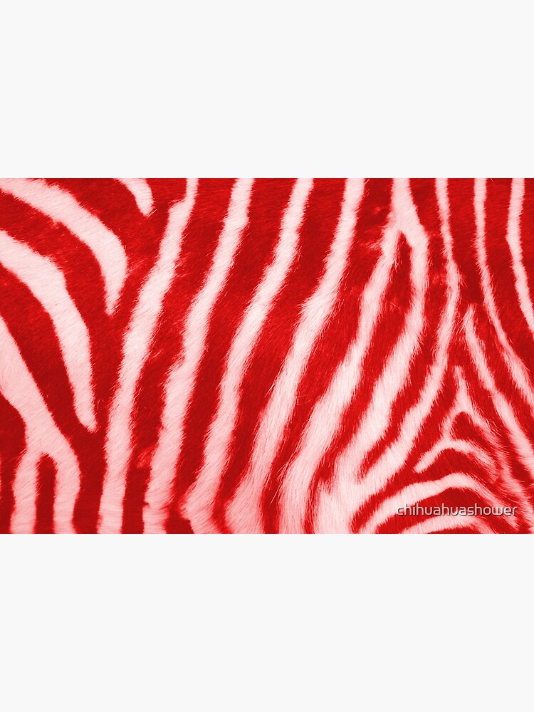 "Red Zebra stripes" Poster by chihuahuashower Redbubble