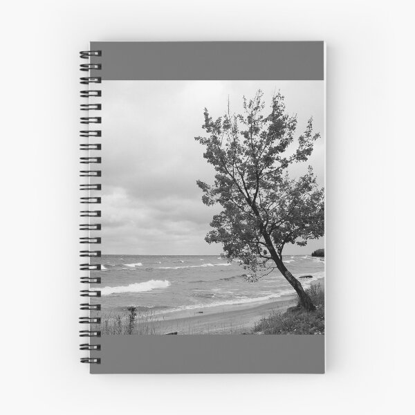 Item preview, The Sentinel designed and sold by J Rier Photography.