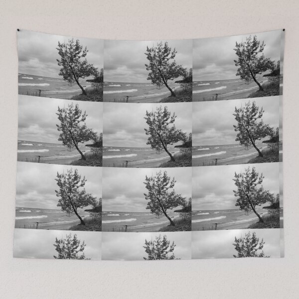 Item preview, The Sentinel designed and sold by J Rier Photography.