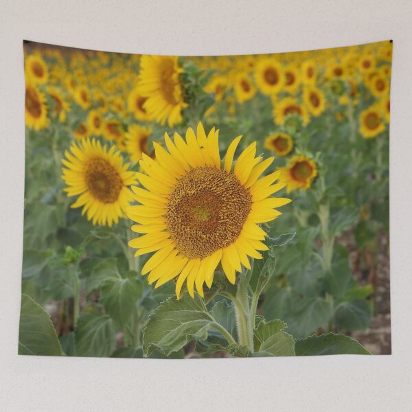 Item preview, Sunflower Radiance – Summer Golden Hour designed and sold by Catfcreations.