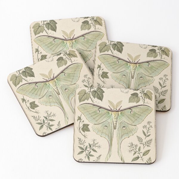 Item preview, Luna Moth and Moonflower Vintage Scientific Plate, Night Garden Moth Poster designed and sold by ElicitaDesign.