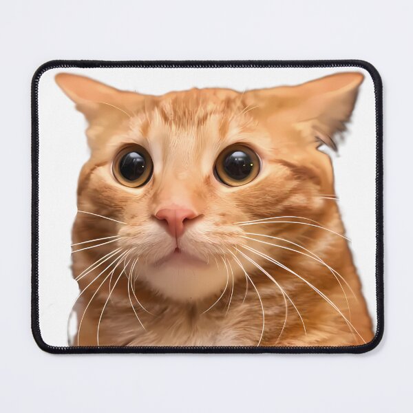 Item preview, Scientists Reveal The Hi Orange Cat Meme designed and sold by HelloCal.