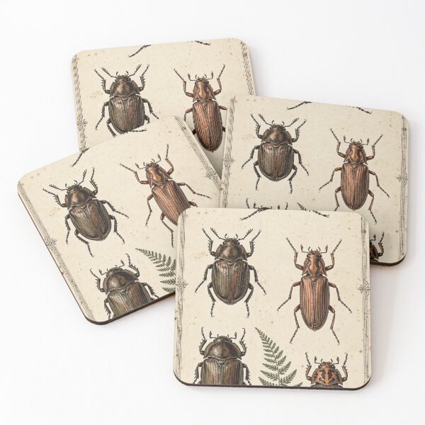 Item preview, Forest Beetles Vintage Scientific Plate, Five Beetle Studies and Fern Poster designed and sold by ElicitaDesign.