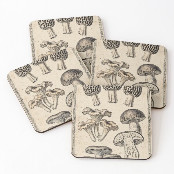 Item preview, Morel and Forest Mushrooms Vintage Scientific Plate, Morels Poster designed and sold by ElicitaDesign.