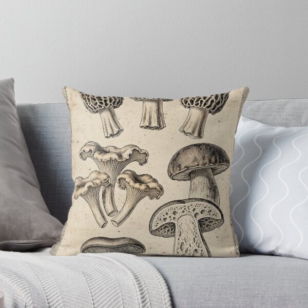 Item preview, Morel and Forest Mushrooms Vintage Scientific Plate, Morels Poster designed and sold by ElicitaDesign.