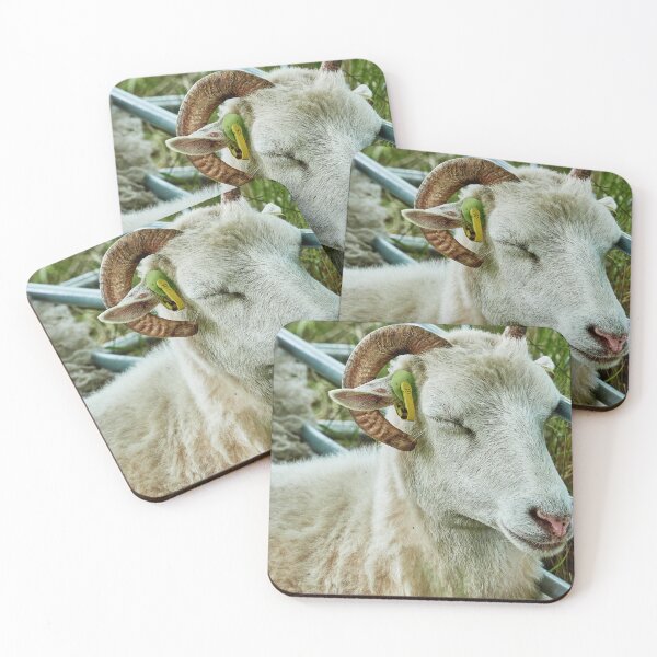 Item preview, Afternoon Nap designed and sold by Eidetic Photos.