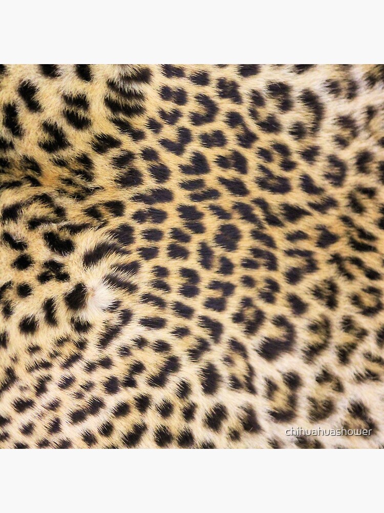 Leopard print by chihuahuashower