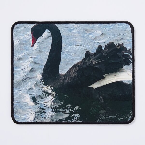 Item preview, Graceful Black Swan in Lake designed and sold by Jasbindar Singh.