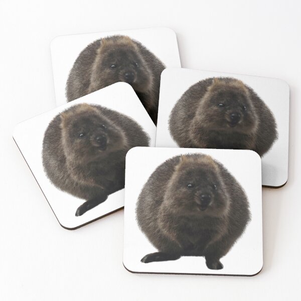 Item preview, Midnight Smiles - Happy Little Quokka  designed and sold by Debsgiftware .