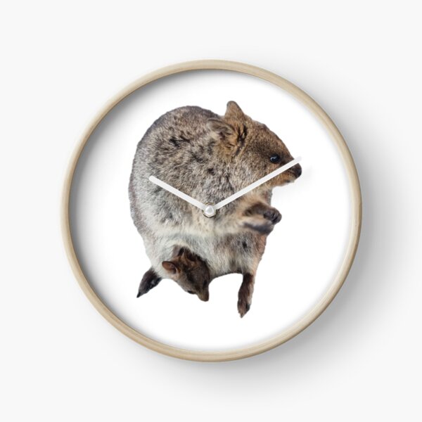 Item preview, Quokka Mother and Joey - Life Is Better with Quokkas designed and sold by Debsgiftware .
