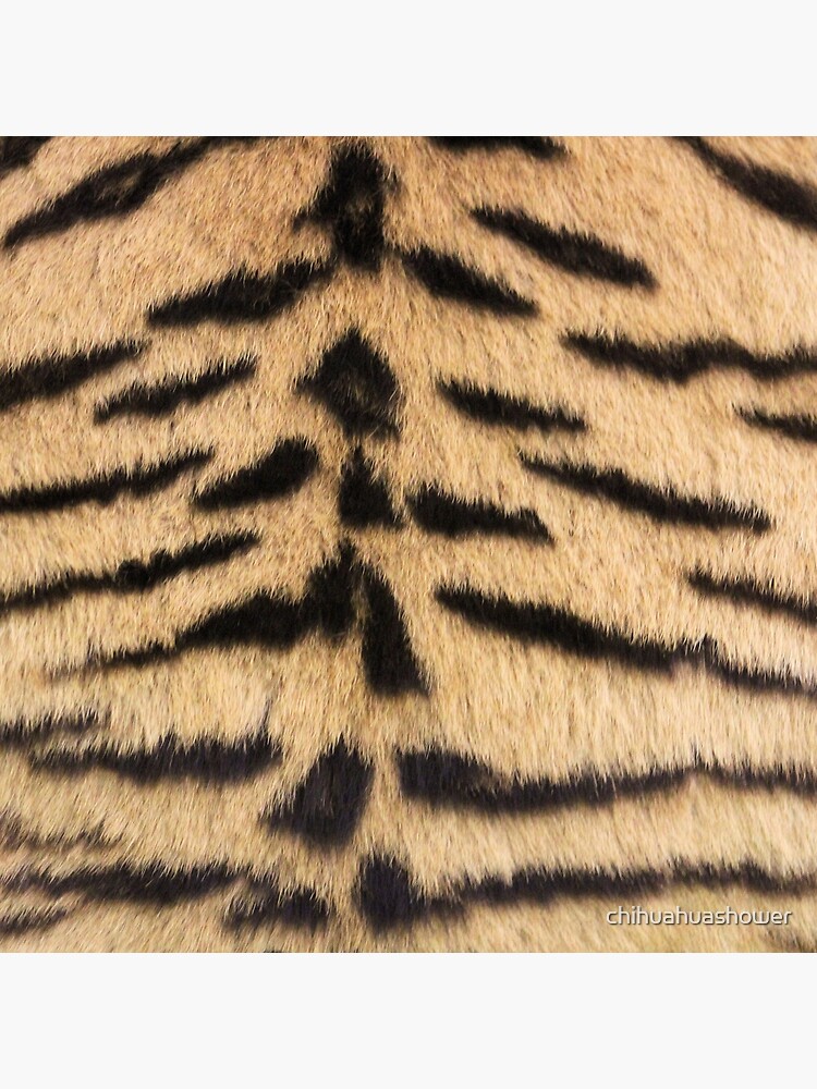 Tiger print by chihuahuashower
