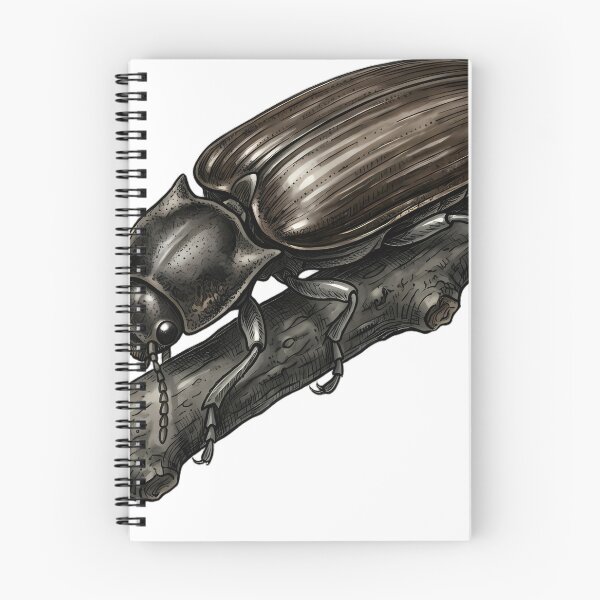 Item preview, Vintage Naturalist Click Beetle on Dark Alder Twig - Antique Beetle Art designed and sold by Catch333.