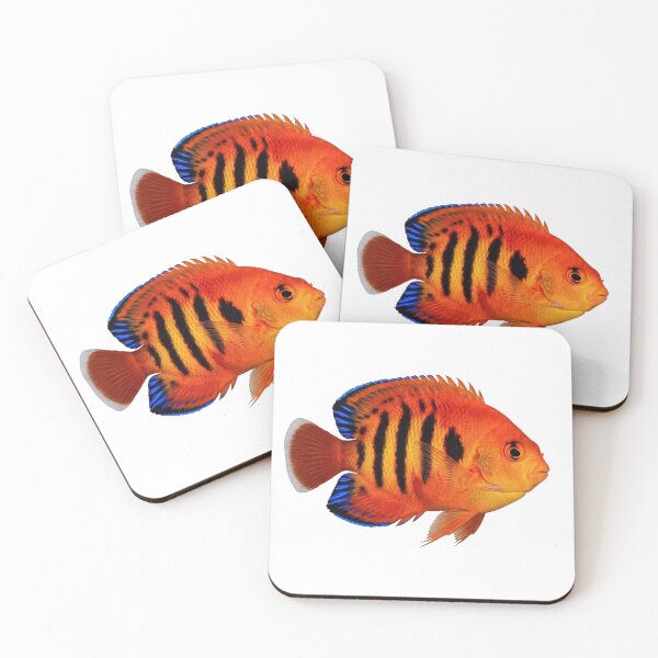 Item preview, Flame Angelfish – Fiery Red Reef Fish Portrait designed and sold by Helt-enkelt.