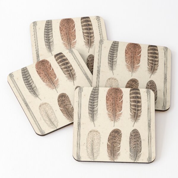 Item preview, Woodland Feathers Vintage Scientific Plate, Six Feather Studies Poster designed and sold by ElicitaDesign.