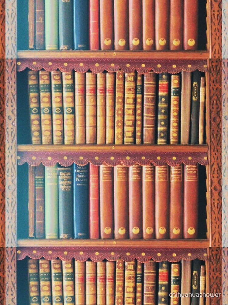 Library by chihuahuashower
