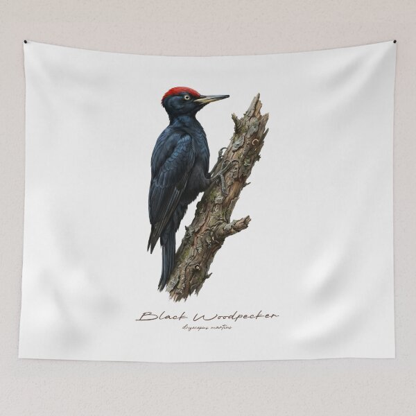 Item preview, Black Woodpecker on Tree Bird Illustration designed and sold by Takeda-art.