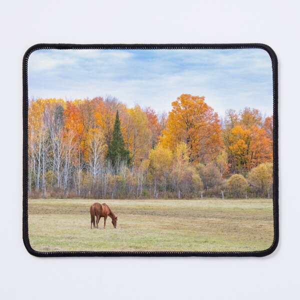 Item preview, An Early Autumn Morning designed and sold by James Cumming.