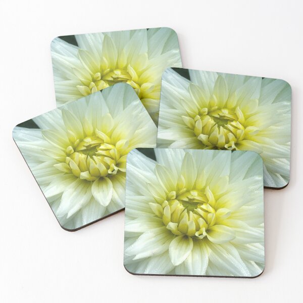 Item preview, White and Yellow Dahlia Flower Close Up designed and sold by Between Clouds.