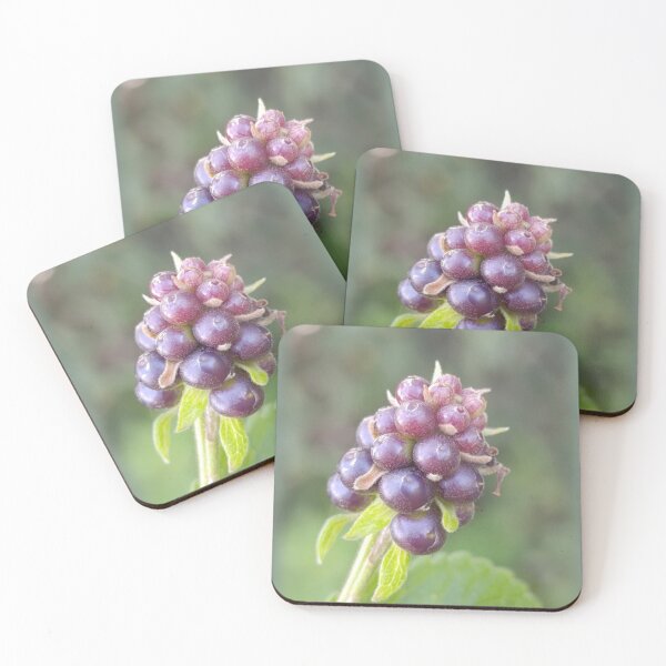 Item preview, Wild Purple Berry Cluster - Macro Botanical Nature Art designed and sold by PicturePick.