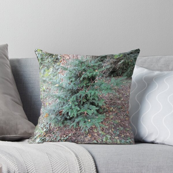 Item preview, Evergreen conifer in the autumn forest designed and sold by PhuongVoArt.