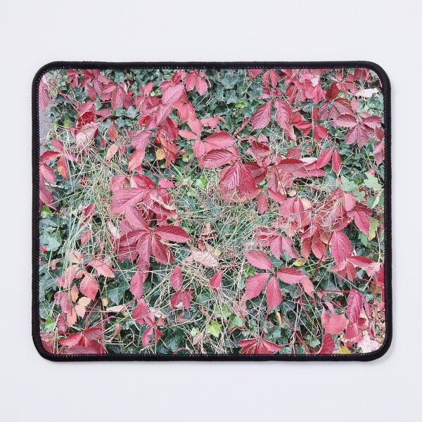 Item preview, Red autumn leaves on green ivy designed and sold by PhuongVoArt.