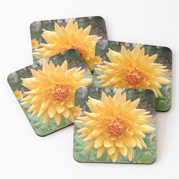 Item preview, Golden Yellow Dahlia in Full Bloom designed and sold by SolaraNature.