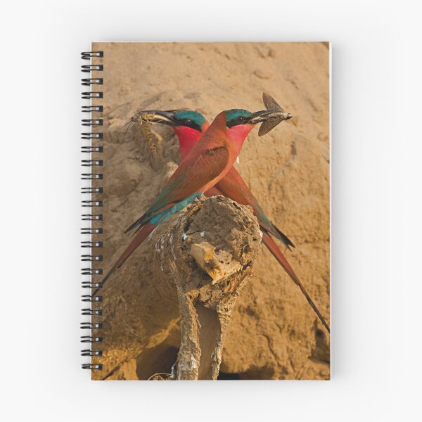 Item preview, Carmine Bee-eaters designed and sold by shayneuntamed.