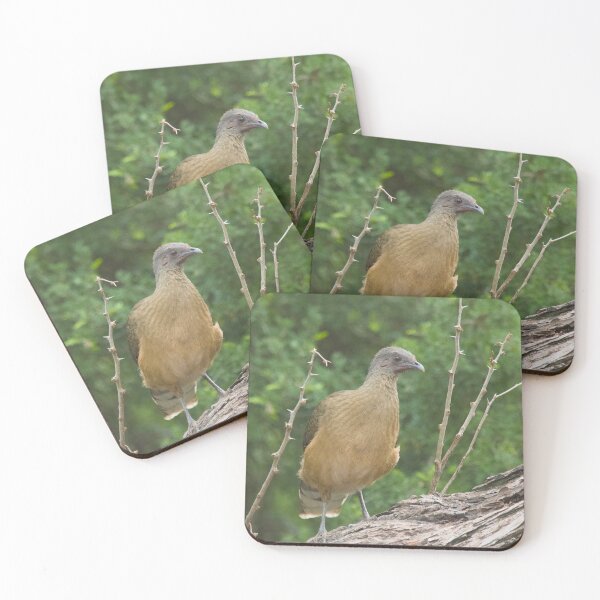 Item preview, Plain Chachalaca designed and sold by EnglandEcology.