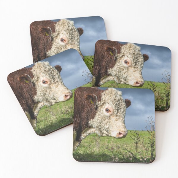 Item preview, Hereford Bull Portrait designed and sold by Jane Stanley Photography.