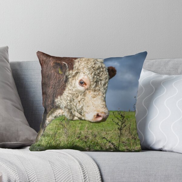 Item preview, Hereford Bull Portrait designed and sold by Jane Stanley Photography.