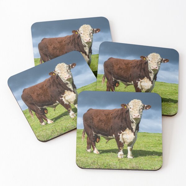 Item preview, Hereford Bull  designed and sold by Jane Stanley Photography.
