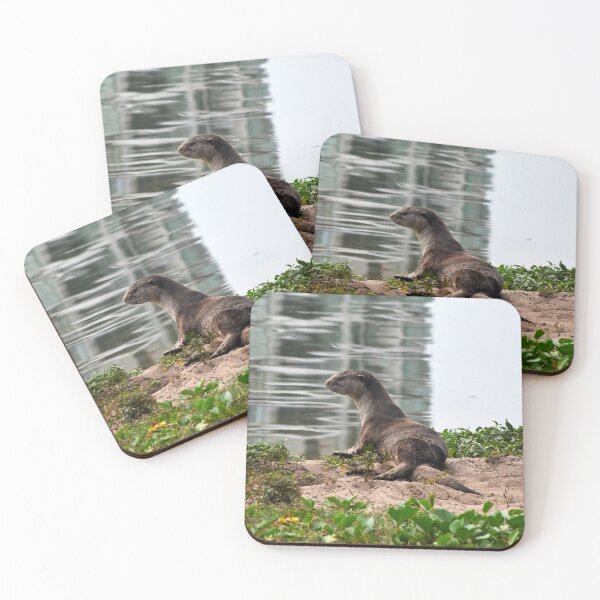 Item preview, Singaporea Otter 1 | Wildlife photography Singapore designed and sold by Mii-pics.