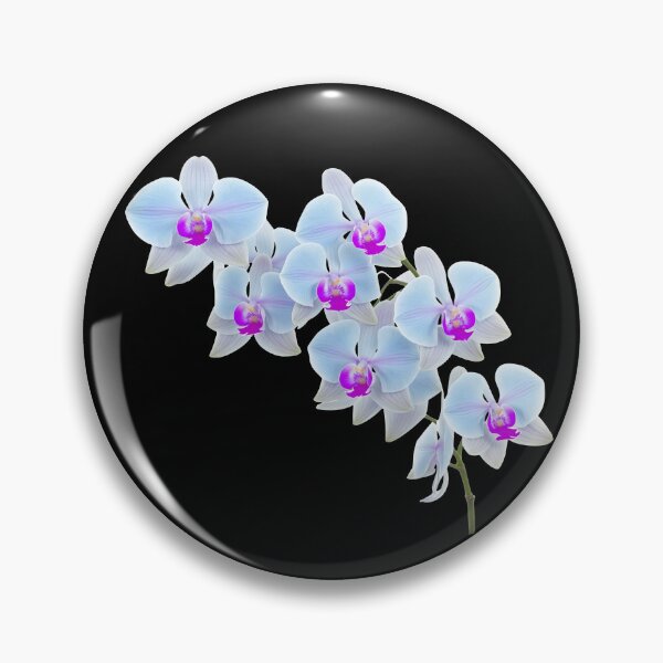 Item preview, Gorgeous Light Blue Phalaenopsis Orchid Black Shapes Mania designed and sold by Shapes-Mania.