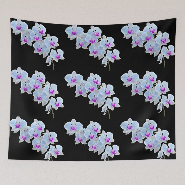 Item preview, Gorgeous Light Blue Phalaenopsis Orchid Black Shapes Mania designed and sold by Shapes-Mania.