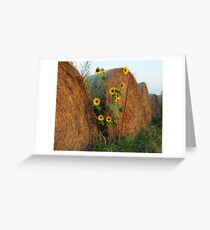 Sunny Disposition Greeting Card