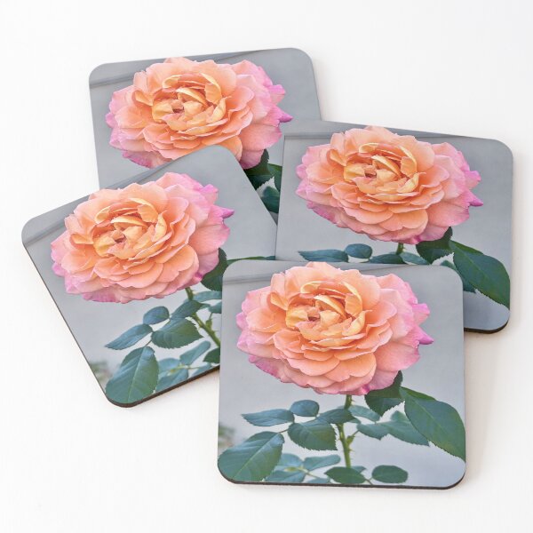 Item preview, Ombre Rose designed and sold by Angela Fazio.
