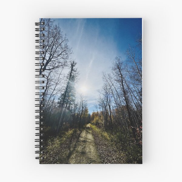Item preview, Sunlit Trail designed and sold by C Dunning Photography.