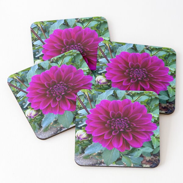 Item preview, Magenta Dahlia  designed and sold by Angela Fazio.